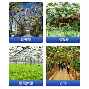 葡萄架钢丝紧线器拉紧器大棚全钢镀锌小型铁丝卡扣紧丝紧固收紧器