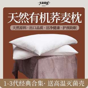 全荞麦皮壳枕头护颈椎男女软硬高低成人纯荞麦枕芯儿童家用枕