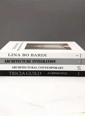 装饰真书黑白灰系列建筑设计书简约书样板房会所别墅售楼处摆场用