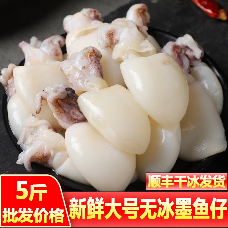 墨鱼仔生鲜新鲜冷冻商用冰鲜小墨鱼仔大号海鲜水产乌贼鱿鱼捞汁