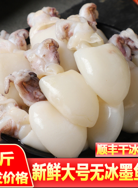 墨鱼仔生鲜新鲜冷冻商用冰鲜小墨鱼仔大号海鲜水产乌贼鱿鱼捞汁