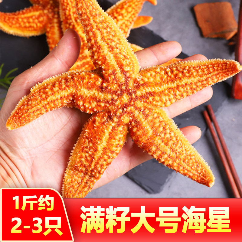 海星鲜活速冻大号即食海星熟食食用满籽满黄派大星新鲜冷冻五角星