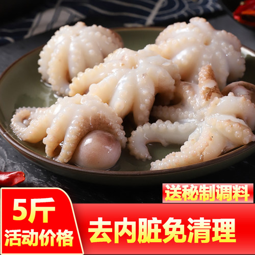 新鲜八爪鱼鲜活冷冻海鲜小章鱼迷你短腿八抓鱼大爆头去内脏捞汁
