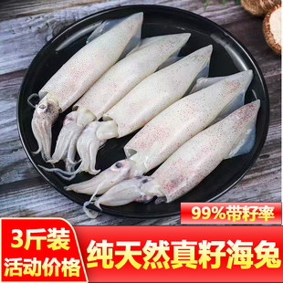 满籽海兔新鲜海兔带籽海兔全籽籽乌笔管鱼墨鱼籽海鲜商用批发