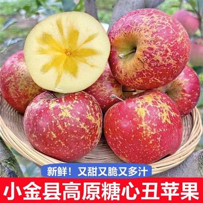 10斤净重四川正宗阿坝州小金县冰糖心丑苹果新鲜水果当季整箱包邮