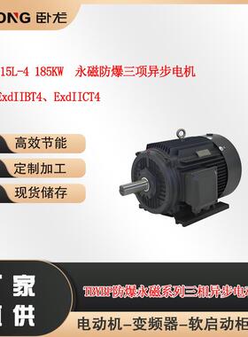 TBYBP-315L-4185W永磁防爆三项异步电机隔爆型BT4、CT4