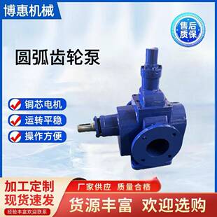 大流量抽油泵头油泵液体输送泵配件ycb6/0.6高温液压高粘度齿轮泵