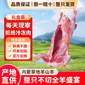 内蒙锡林郭勒新鲜现杀13 35斤整只羊团购散养白条羊礼盒酒店