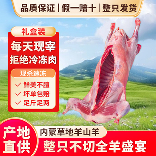 内蒙锡林郭勒新鲜现杀13-35斤整只羊团购散养白条羊礼盒酒店