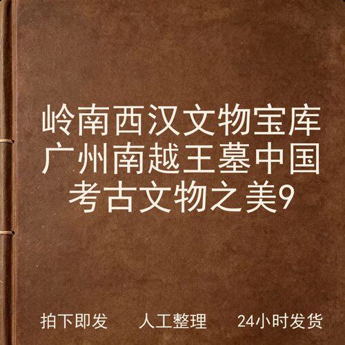 岭南西汉文物宝库广州南越王墓中国考古文物之美9电子版