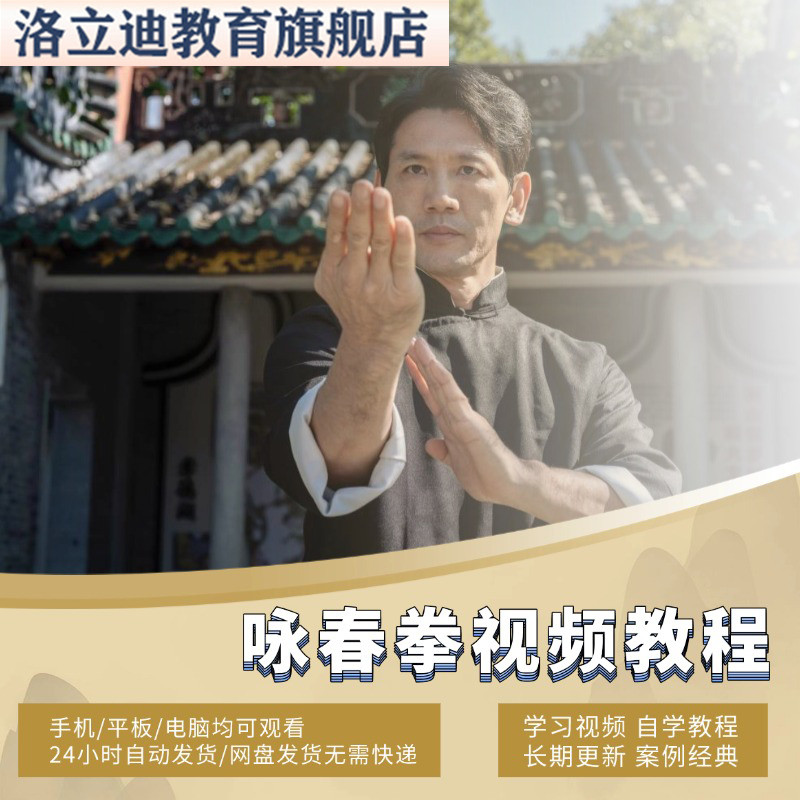 咏春拳零基础入门到精通教学视频全套教程自学培训木人桩功力训练