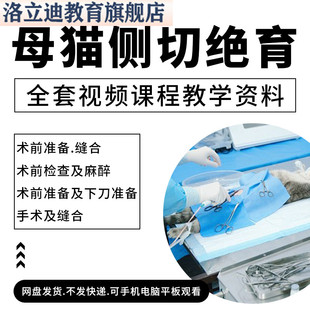 母猫绝育手术教程视频全集侧切技术讲解教学宠物绝育公猫去势流程