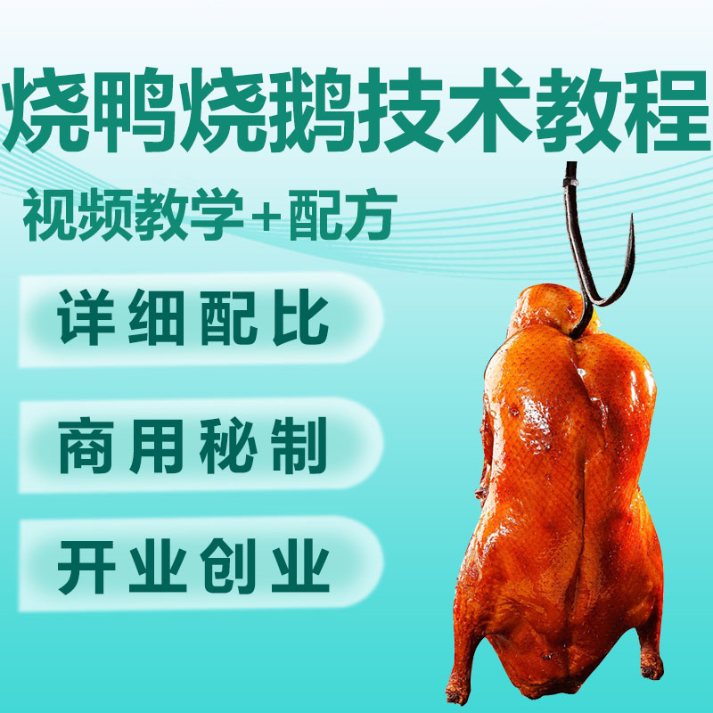 商用正宗摆摊广式烧鸭烧鹅烧腊烤制做法视频技术小吃配方教程教学
