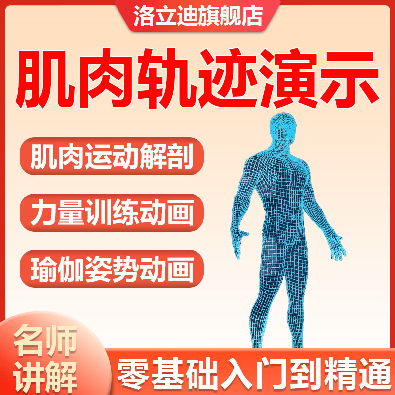 肌肉运动模式肌肉动画轨迹动画视频教程动态健身图演示