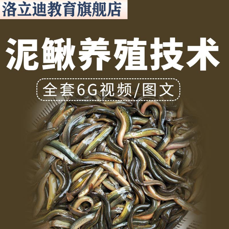 泥鳅养殖技术视频教程饲料配方养泥鳅怎么养场地建设网箱稻田病害