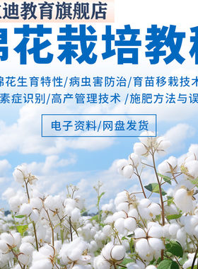 棉花种植栽培技术教程学大田管理病虫害防治自学视频PPT课件成品
