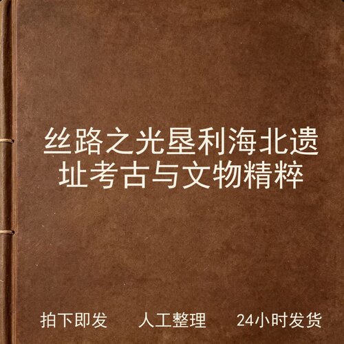 丝路之光 垦利海北遗址考古与文物精粹 考古人文兴趣参考电子版