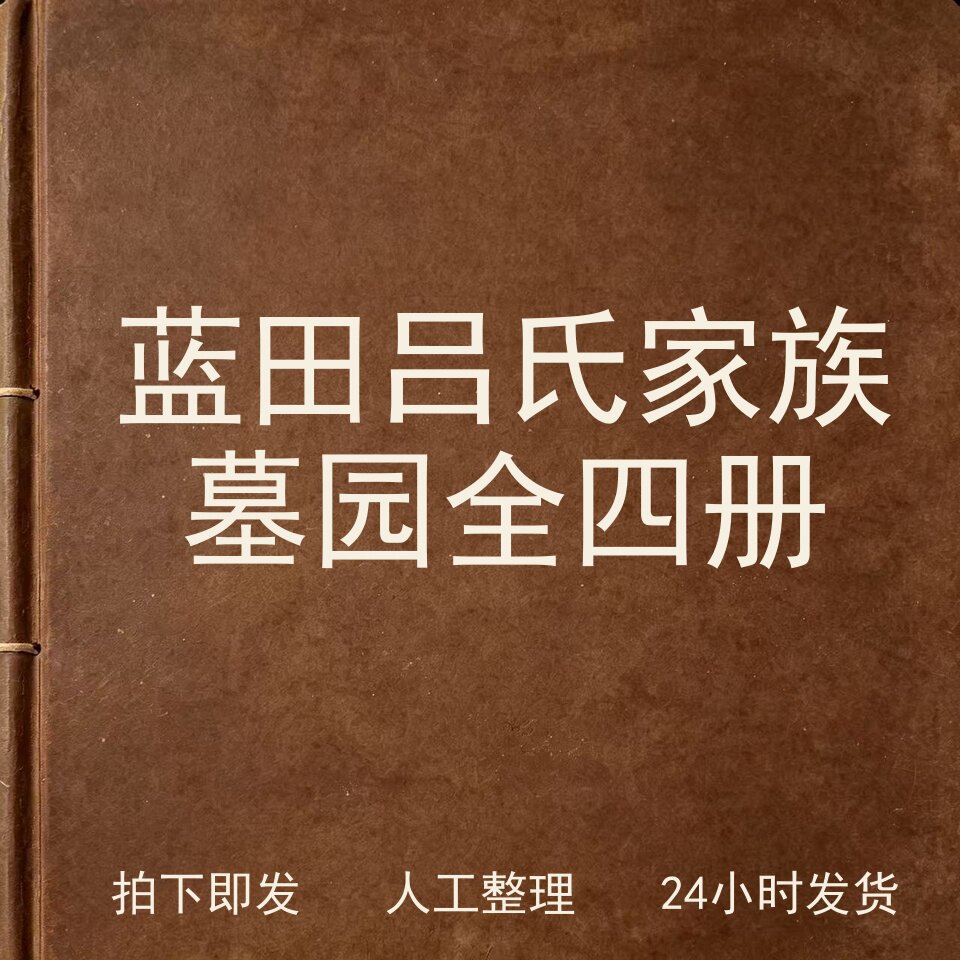 蓝田吕氏家族墓园全四册 考古人文兴趣参考电子版图片