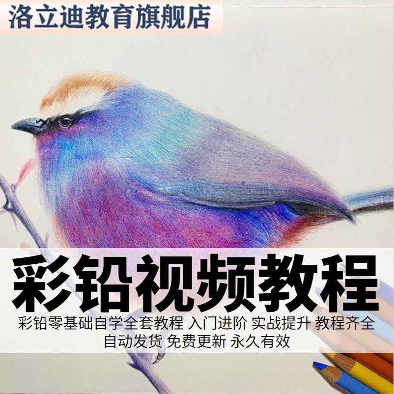 彩铅视频教程绘画美术0基础入门素描水彩直播培训自学视频课程