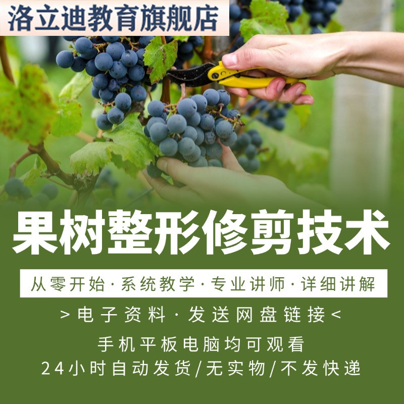 果树整形修剪疏果技术自学培训视频教程PPT课件苹果梨枣葡萄柑橘