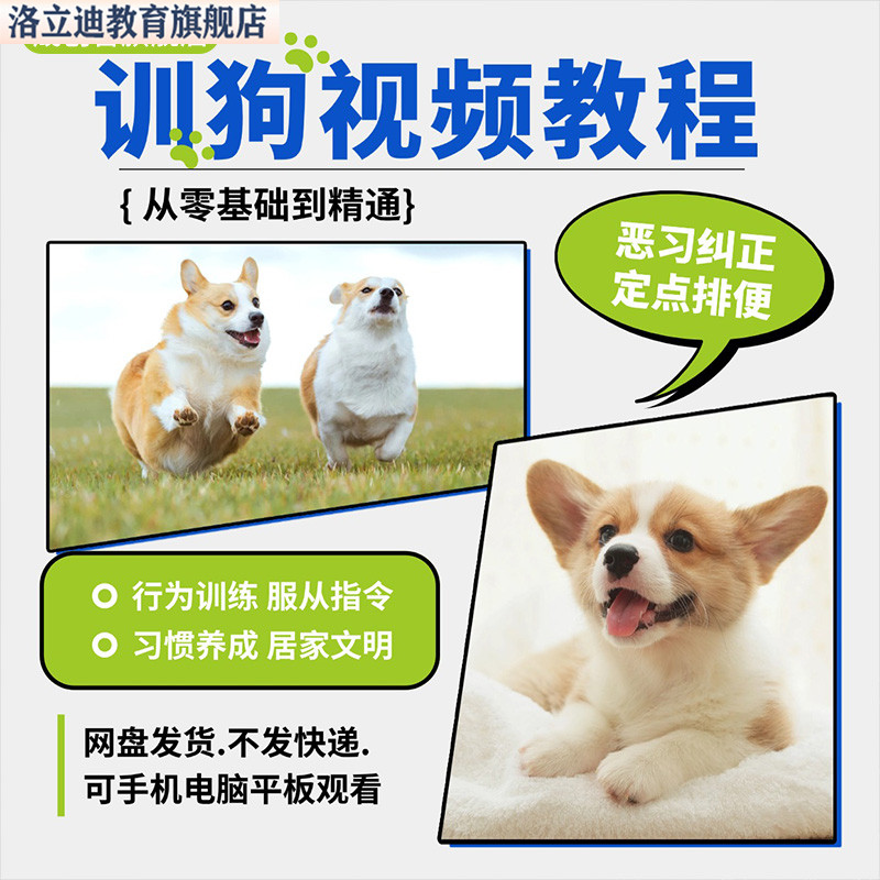 训狗零基础视频教程训犬入门教学狗狗行为训练恶习纠正课程全套