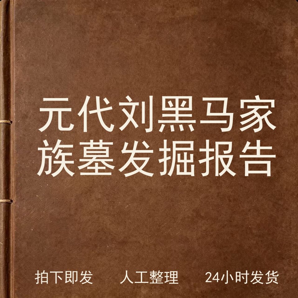 元代刘黑马家族墓发掘报告考古人文兴趣参考电子版图片
