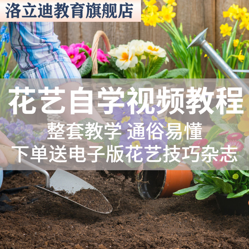 插花教程花艺视频教学插花设计开花店花束包装网络零基础培训课程