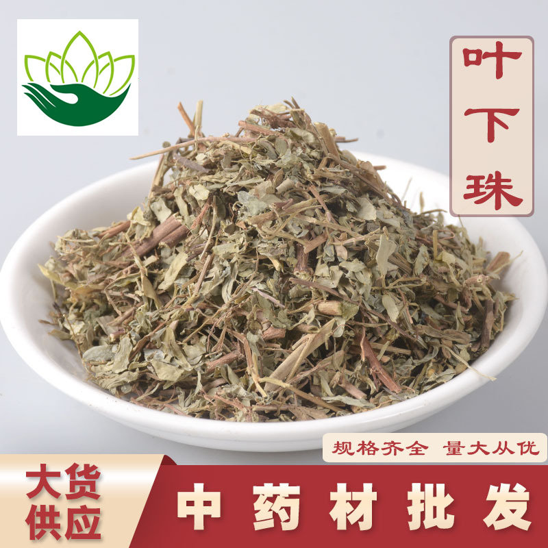 叶下珠珍珠草冷无硫药食同源中药材黄芪茯苓黄精金银花陈皮酸枣仁