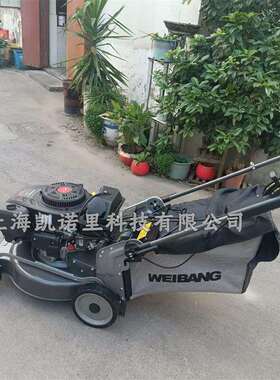 维邦WB538SCV-3IN1-MG马尼拉专用割草机自走钢底盘21寸割草草坪机