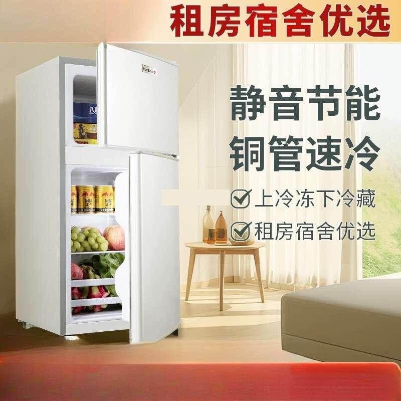 一级能效小冰箱二人用家用小型出租房宿舍用迷你双门电冰箱