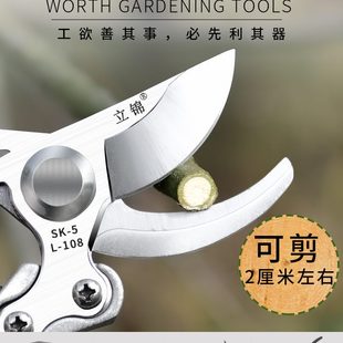 园艺花剪修花剪刀家用花草省力修枝剪园林工具果园果树剪枝剪剪刀
