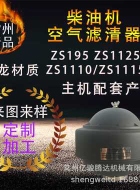 ZS195ZS1110/1115ZS1125 柴油机空气滤清器总成 A空总成 空滤器