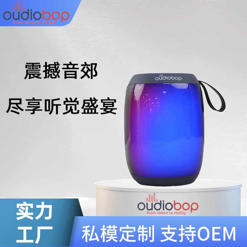 新款蓝牙音响户外便携式插卡迷你无线K歌一体带麦克风话筒音箱