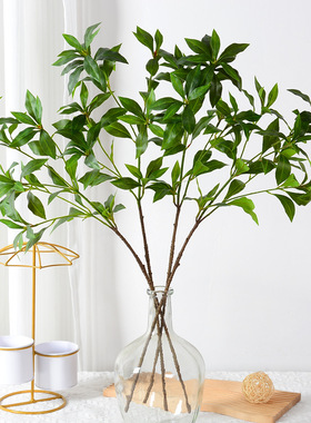 仿真植物 手感马醉木叶 家居装饰摄影摆件婚庆假花马醉木叶 批发