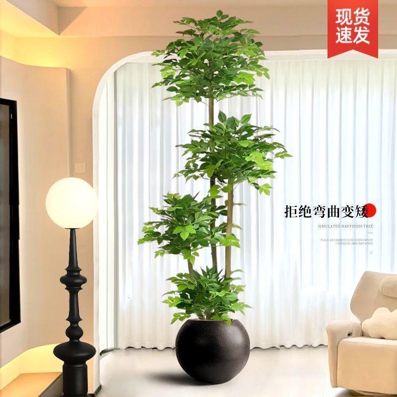 仿真植幸福树落地盆栽室内奢大轻绿型仿生植物摆件客厅装饰XJA花