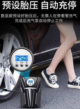 戴升气208车载充气泵线金属缸有充机12v大功数显单缸轿XOB车打气