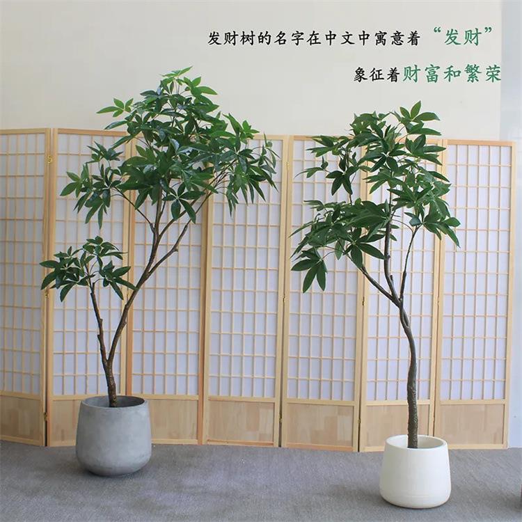 仿真发财树绿植假窗树家居酒FCR厅客商场店铺橱店餐厅饭店装饰摆