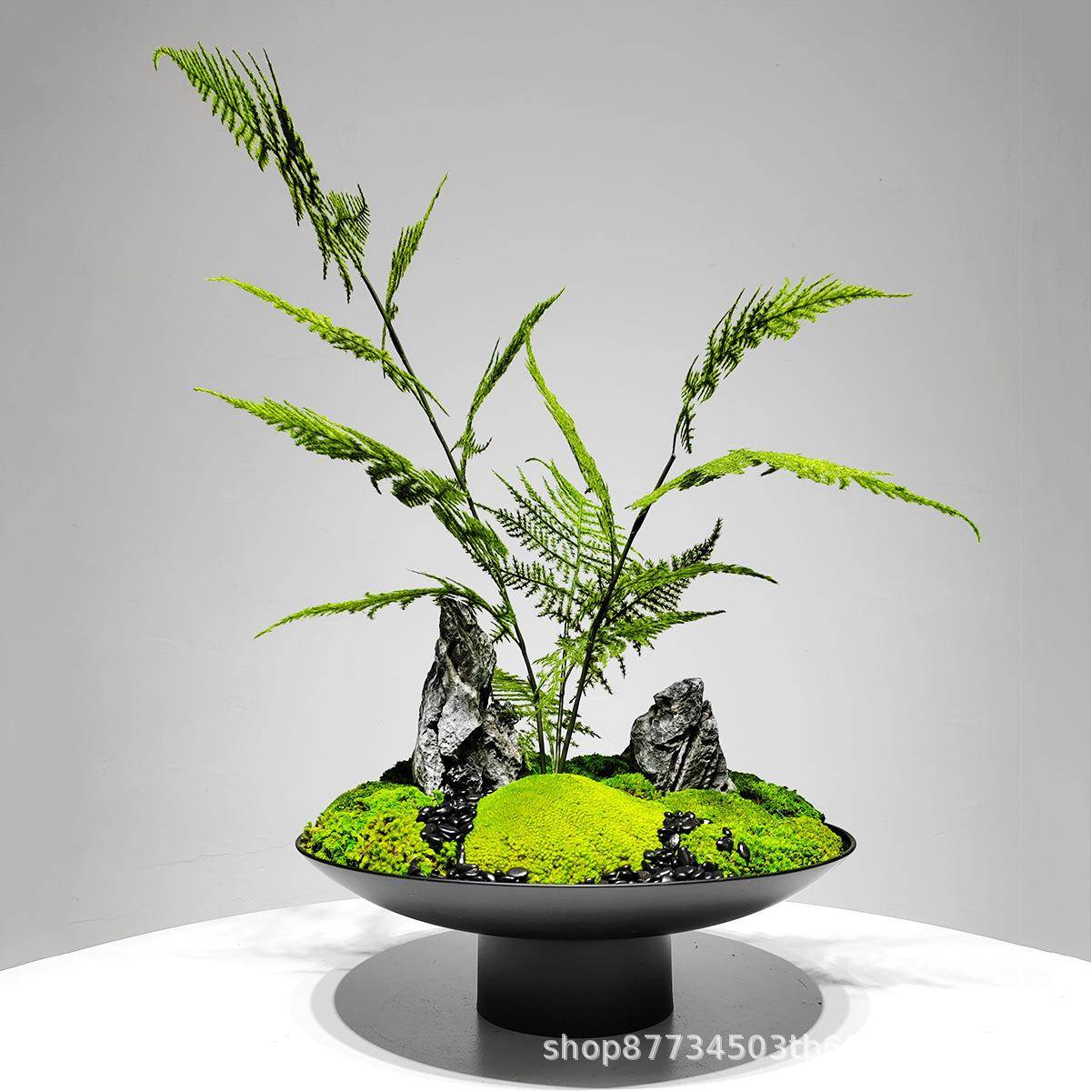 中式艺花器仿真栽文竹永1149青苔铁盆书房茶室微景观玄关柜软生装