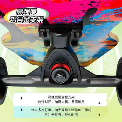 BEY长板舞板街刷动作专平业板少年成人公路青板衡静音磨砂闪光轮