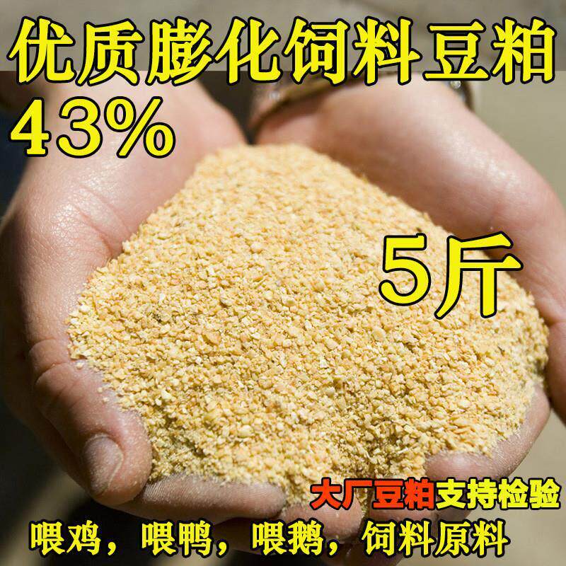 豆粕饲料喂鸡100斤黄粉喂
