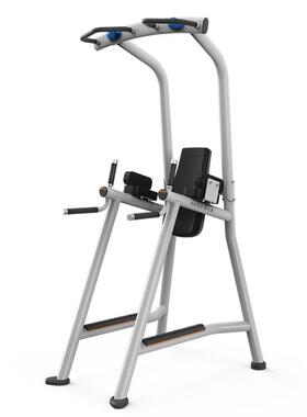 美国MATRIX双杠提膝收腹训练器MG-A63商用单双杠引体向上架