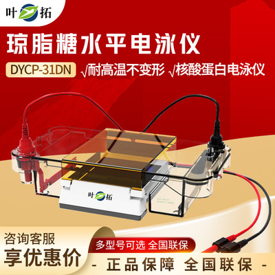 上海叶拓 DYCP-31DN  高透明度聚碳酸酷注塑成型蛋白转印电泳仪