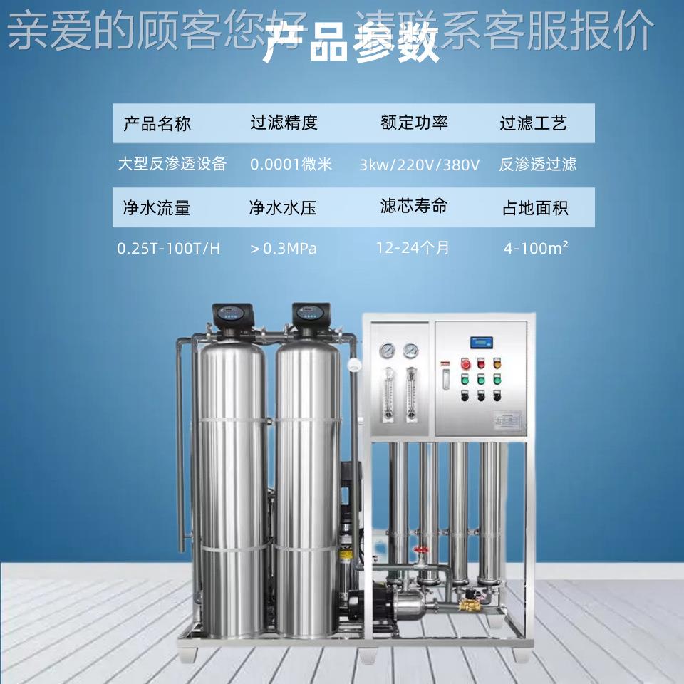 05业系-100吨T工双极反渗透纯水生产设967备大型净水器超纯.水处