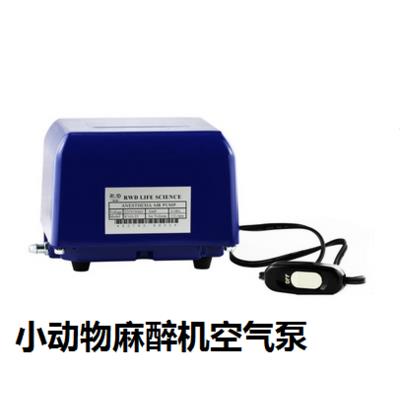 小动物麻醉机空气泵 实验室空气泵 动物麻醉机气源 氧气源