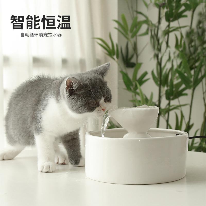 猫用可加热饮水机宠物用品 流动流水智能恒温活水猫喝水自动循环