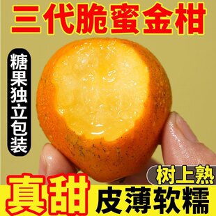 广西脆皮金桔独立包装新鲜水果当季甜蜜小金柑桔子金橘融安特产