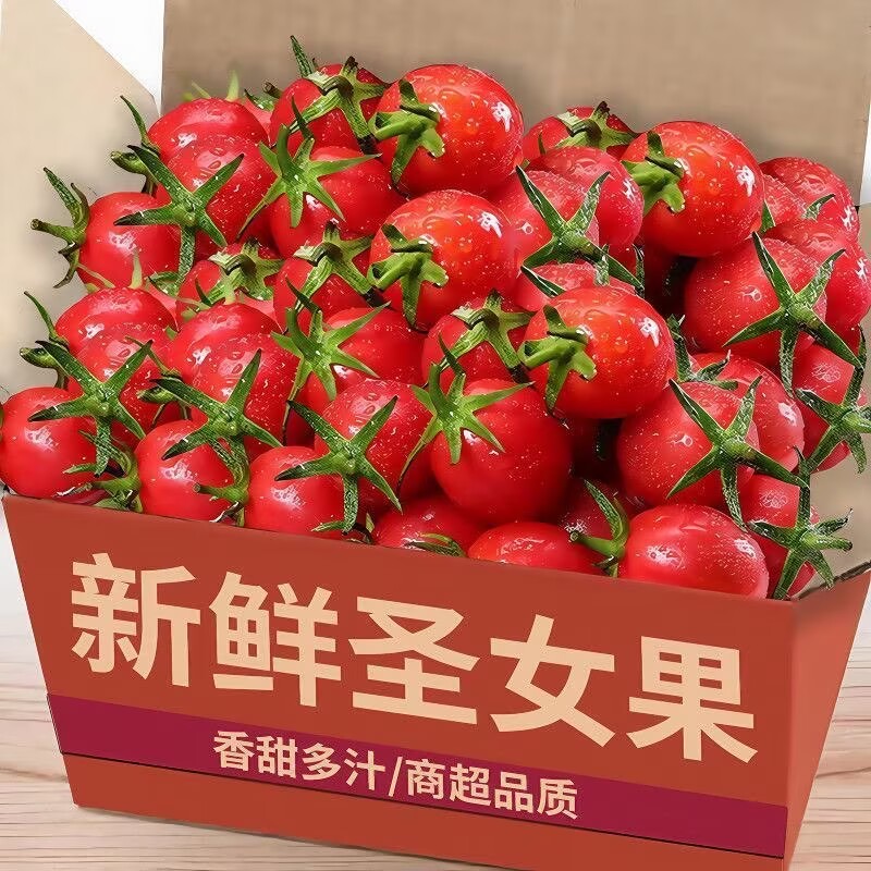 正宗云南千禧冰糖心圣女果