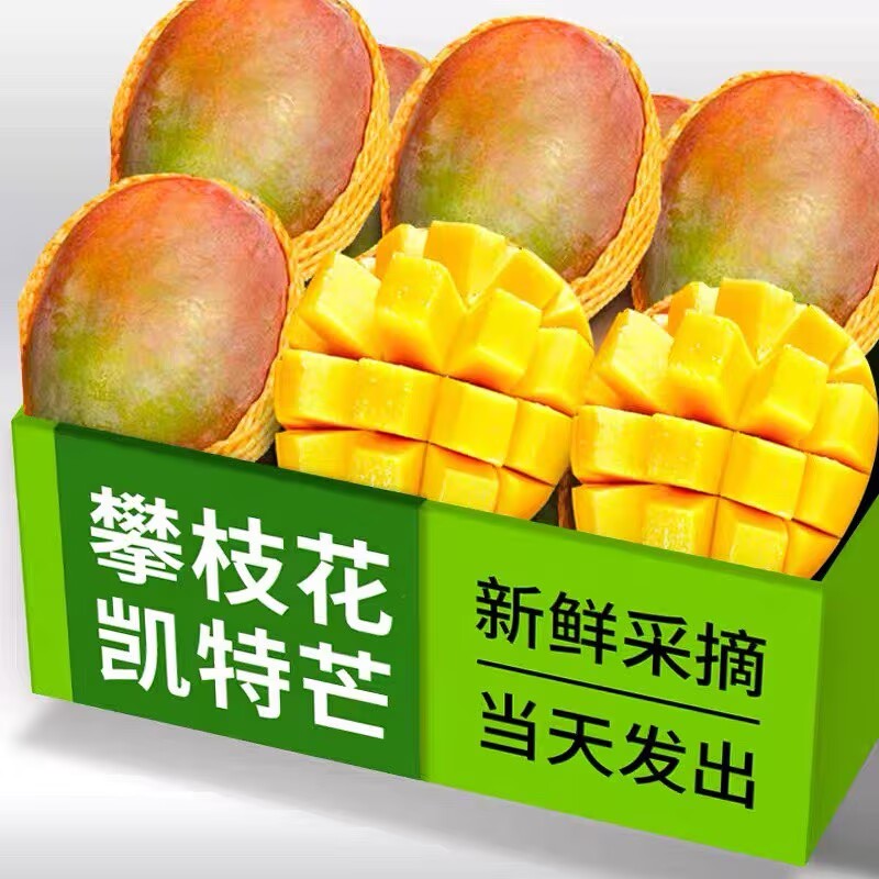 四川攀枝花凯特芒果新鲜
