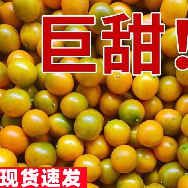 脆皮小金桔阳朔黄金桔新鲜水果桔子5斤当季非融安脆甜金桔橘子,水产肉类/新鲜蔬果/熟食,桔子,淘宝优惠券,粉丝福利购,淘宝优惠卷