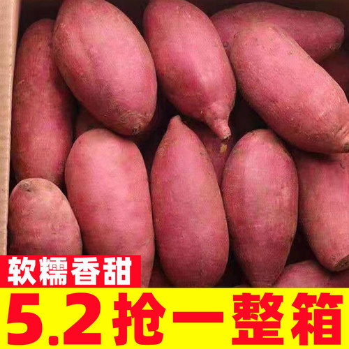 农家烟薯25号新鲜蔬菜超
